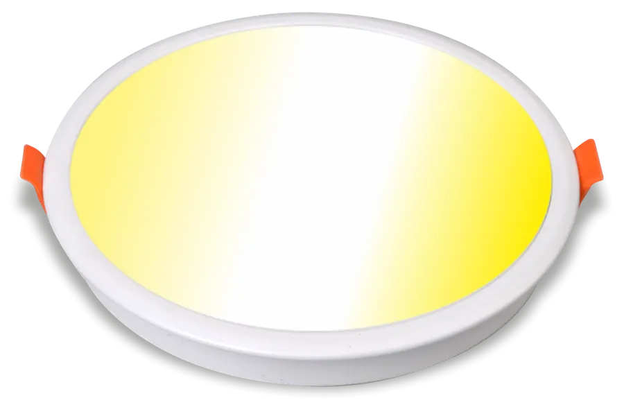 LED Downlight Panel Switch CCT