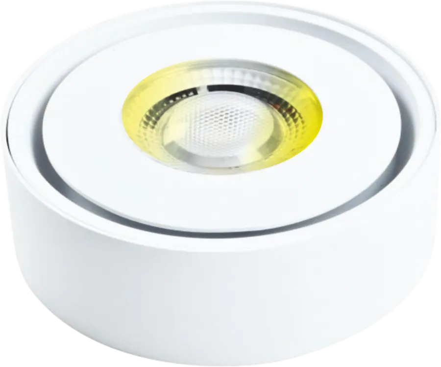 LED Trimless COB Surface Switch CCT