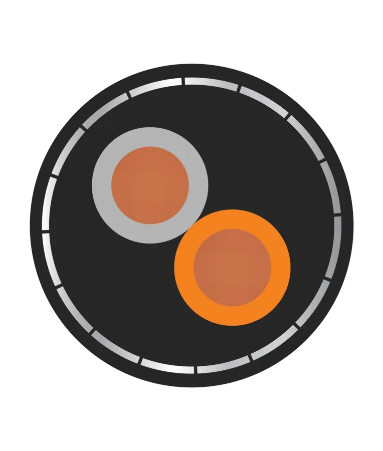 Orbit 1 Pair RS 485 24sqmm