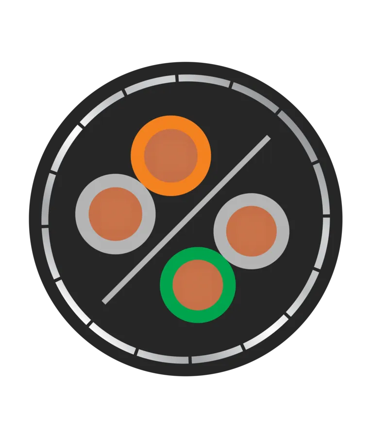 Orbit 2 Pair RS 485 18sqmm