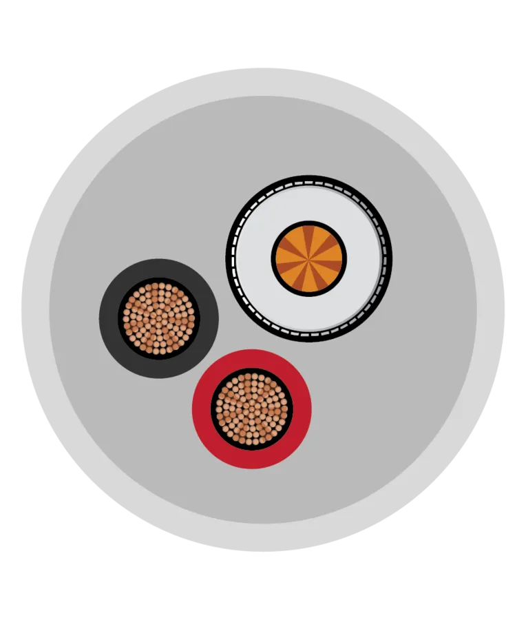 Orbit 2+1 CCTV