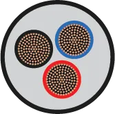 Orbit MULTI-CORE FR-LSH 10sqmm 3C 100m