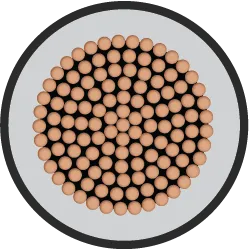 Orbit Single Core FR-LSH 10sqmm 1C 100m