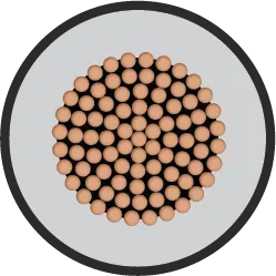 Orbit Single Core FR-LSH 6sqmm 1C 100m