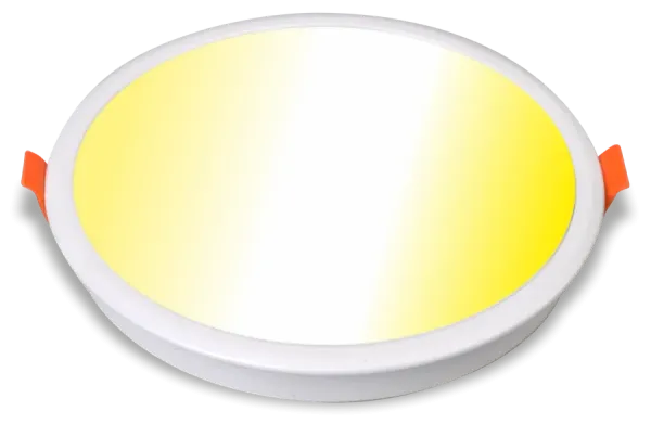 LED Downlight Panel Switch CCT