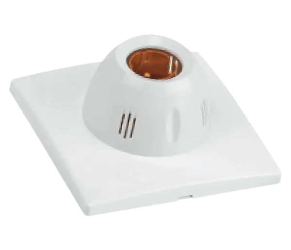 Express Battern Holder