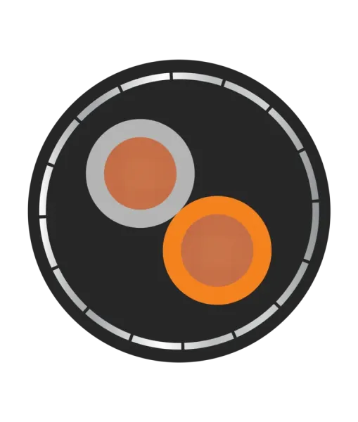 Orbit 1 Pair RS 485 24sqmm