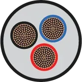 Orbit MULTI-CORE FR-LSH 10sqmm 3C 100m