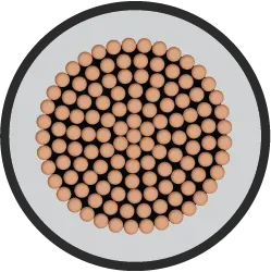 Orbit Single Core FR-LSH 10sqmm 1C 100m