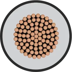 Orbit Single Core FR-LSH 6sqmm 1C 100m